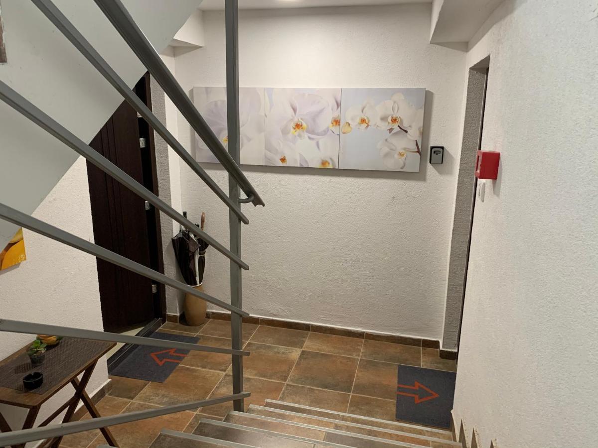A6 Apartment โนวีซาด ภายนอก รูปภาพ